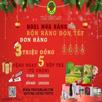 NOEL MUA HÀNG - RỘN RÀNG ĐÓN TẾT